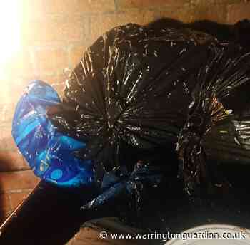 Maggots found breeding in bins at Morgan House, Orford