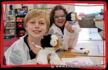 Little Medical School of Central Illinois Offers Virtual Healthcare Classes for Kids - chambanamoms.com