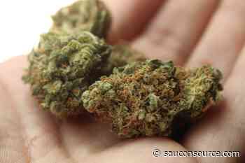 Medical Marijuana Stolen Along With Disc Golf Gear, Police Say - Saucon Source