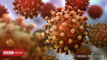 Hong Kong reports 'first case' of virus reinfection