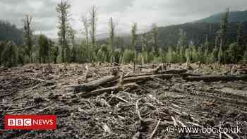 Earth Overshoot Day: When consumption outstrips the planet's eco resources