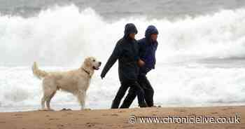 Heavy rain and gales to continue in the aftermath of Storm Francis