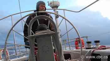 New Zealander sails through Arctic on custom yacht in violation of COVID-19 restrictions