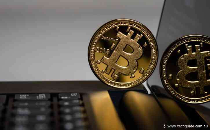 Interest in Crypto Surges Amidst the Pandemic