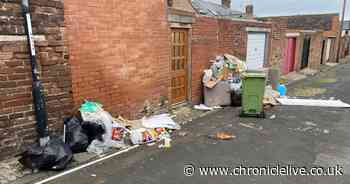 Woman fined £350 after dumping rubbish she could have paid £10 to remove