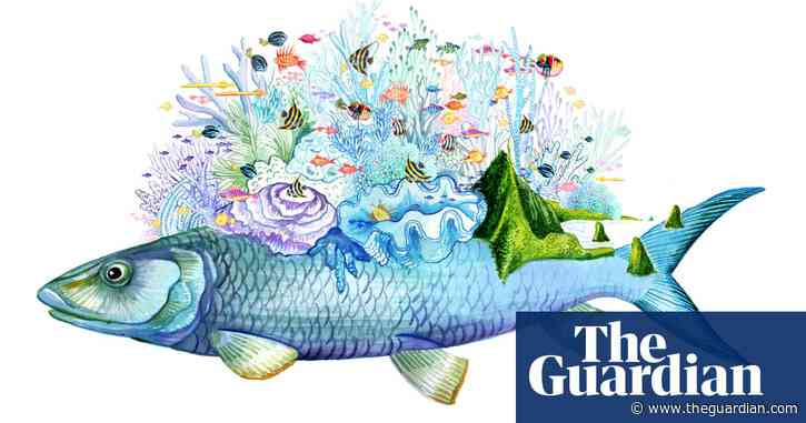 'We're at a crossroads': who do the fish of Hawaii belong to?