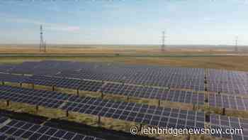 Suffield Solar: getting ready to soak up the sun - Lethbridge News Now