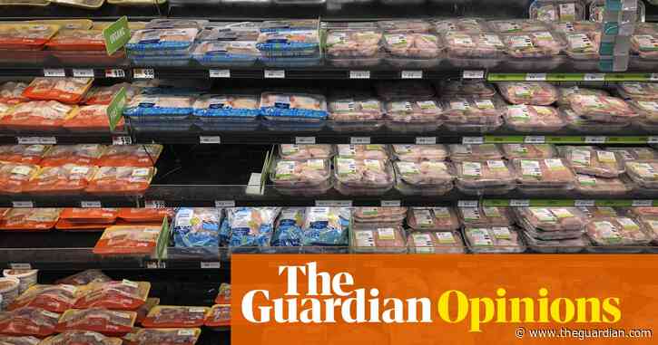 Unless we change course, the US agricultural system could collapse | Tom Philpott