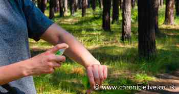 Ingredient in insect repellent could kill strain of coronavirus, new study shows