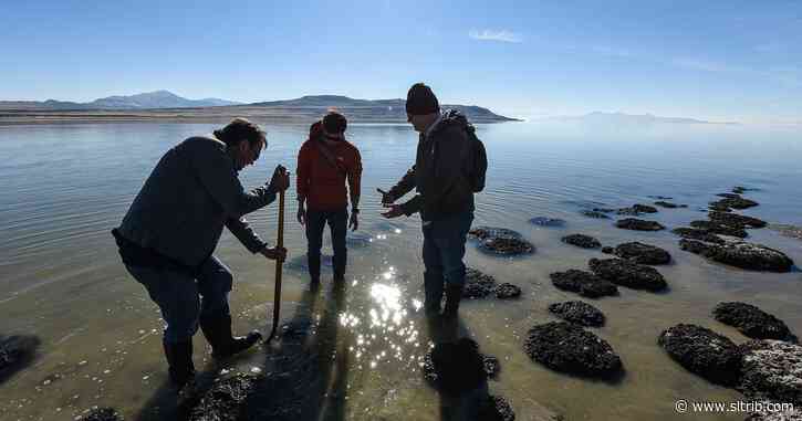 Great Salt Lake can be saved, but only with some big changes, report says