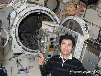 ISS experiment shows bacteria could survive a journey between Earth and Mars     - CNET