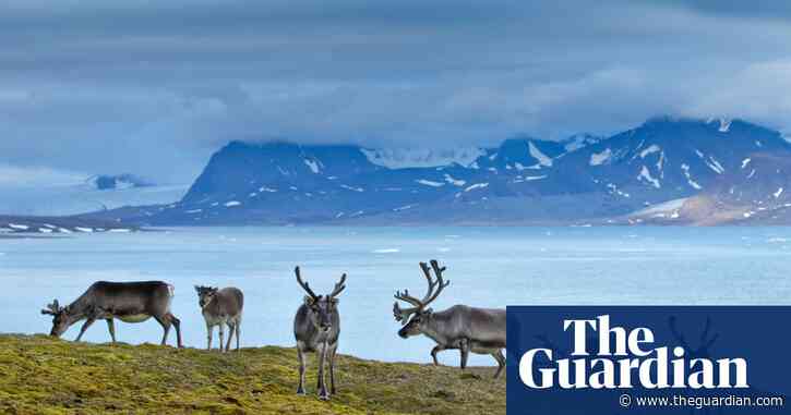 Norway plans to drill for oil in untouched Arctic areas