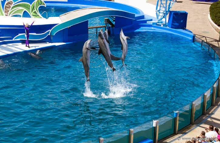 SeaWorld San Diego reopening with attendance limited to one-third of capacity