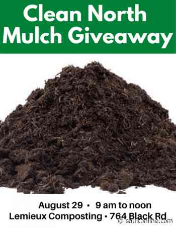 Clean North: August 29th Free Tree Seedlings and Christmas Tree Mulch