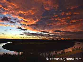 Edmonton weather: My dog walked on my face this morning. Thanks, thunderstorm. - Edmonton Journal