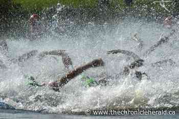 Cancelled World Triathlon Series championships returning to Edmonton in 2021 - TheChronicleHerald.ca