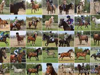 What should the world look like? Some neural nets have their own answer, find researchers