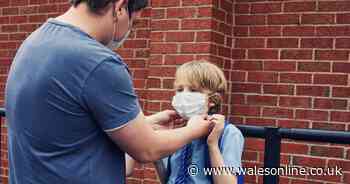 Councils to decide whether school pupils must wear masks in Wales