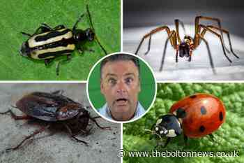 The 8 unpleasant creepy crawlies you don't want to spot in your house