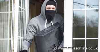 Crime fell by a quarter during coronavirus lockdown