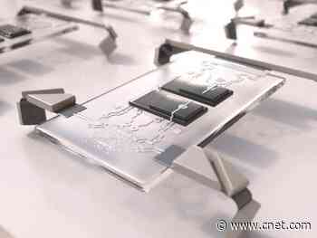 Scientists build army of 1 million microrobots that could fit inside a hypodermic needle     - CNET