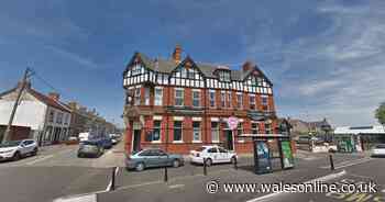 Pubgoer died after getting 'sandwiched' between walls on way home