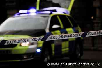 Armed police respond to New Addington stabbing