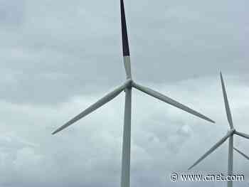 How to kill fewer Norwegian birds with your wind turbine     - CNET