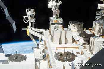 Space Station Experiment Shows Bacteria Could Survive the Long Trip From Earth to Mars