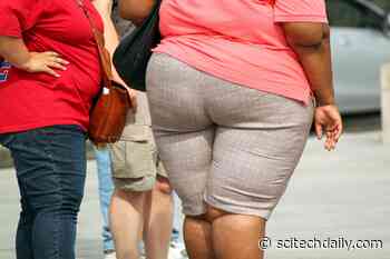 Obesity Linked With Higher Risk for Coronavirus Complications – May Spell Problems for COVID-19 Vaccine