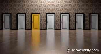 Why We Distort Probability: Scientists Identify Cognitive Limitations That Can Lead to Disastrous Decisions