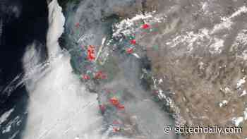 NASA’s Terra Satellite Captures Smoky Pall Over California After Unprecedented Lightning Strikes Ignite More Than 650 Wildfires