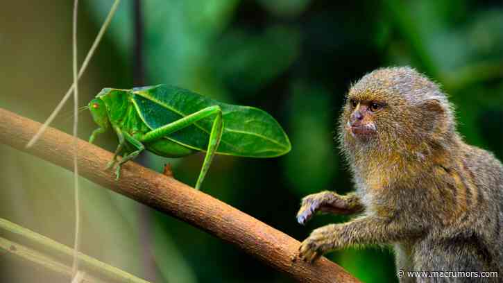 Three New Docuseries Coming to Apple TV+ This Fall