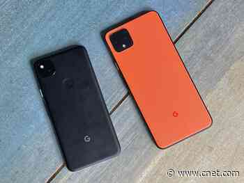 Pixel 4A vs. Pixel 4 XL camera comparison: Can you spot the differences?     - CNET