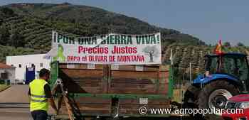 Los olivareros se movilizan en Jaén para reclamar precios justos - Agropopular