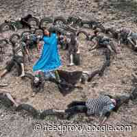 Contemporary Dance In Indigenous Stories