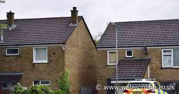 Third arrest in alleged stabbing at house in Ely, Cardiff