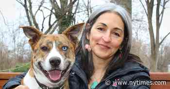 A Beautiful, Urgent Novel of the Palestinian Struggle