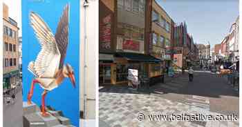 New Belfast mural unveiled as part of alley's project - Belfast Live