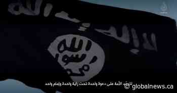 Woman arrested in Toronto area for allegedly trying to join ISIS - Global News
