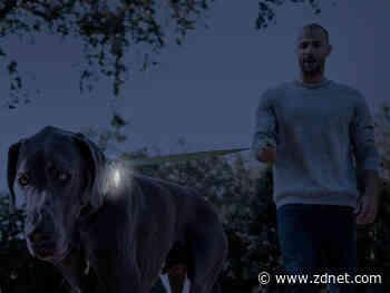 Best high-tech dog toys: 10 gadgets for your pup