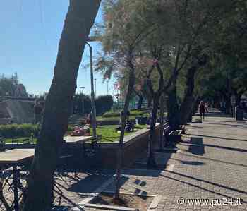 - Viale Trieste, a lezione di yoga sull'erba dei giardini - pu24.it