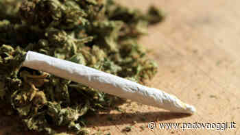 Nascondeva un bel po' di "erba" in tasca: denunciato dai carabinieri - PadovaOggi