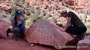 Rock fall at Grand Canyon reveals ancient animal footprints