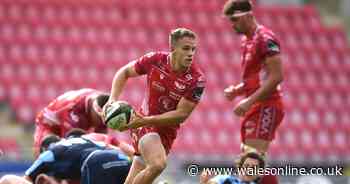 The Wales scrum-half options assessed as Wayne Pivac scouts replacement for injured Tomos Williams - Wales Online