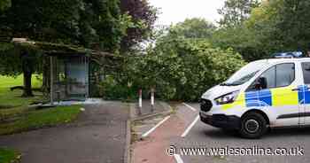 The devastation unleashed on Wales by Storm Francis - Wales Online - Wales Online