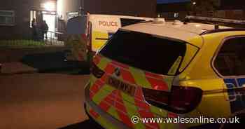 Armed police hunt suspect after serious assault in Cardiff - WalesOnline