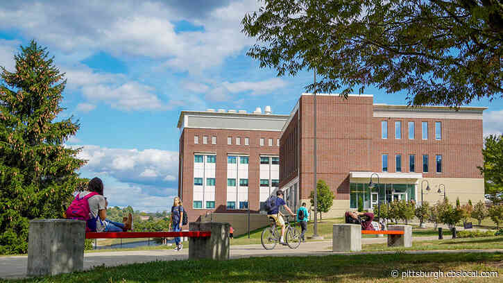Several WVU Students Facing Probation For Health And Safety Violations