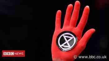 Extinction Rebellion co-founder Roger Hallam in court