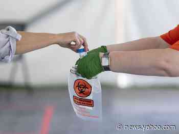 The University of Illinois COVID-19 testing plan is so aggressive that it accounts for 20% of the state's tests